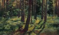 ferns in the forest siverskaya 1883 classical landscape Ivan Ivanovich trees